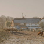 Слот Bigger Barn House Bonanza с фермерской тематикой