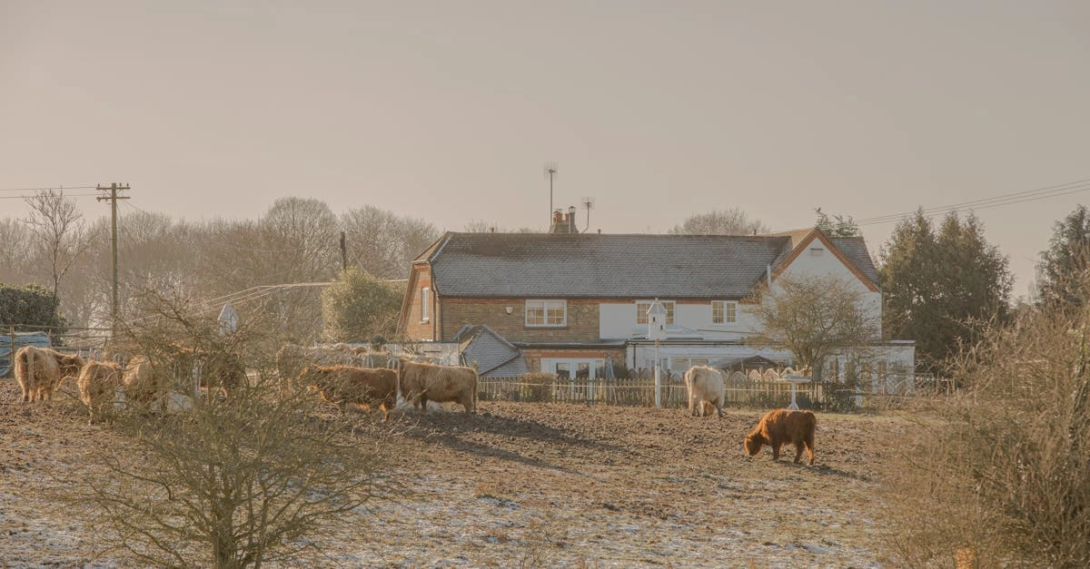 Слот Bigger Barn House Bonanza с фермерской тематикой