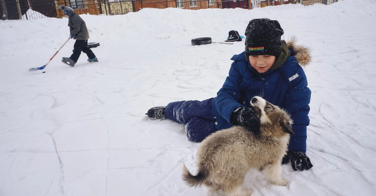 Классический слот The Dog House с традиционным геймплеем и собачьей тематикой